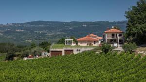 Luxury villa Edoardo with pool in Visinada