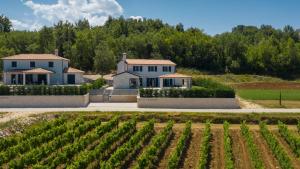 Luxury villa Edoardo with pool in Visinada