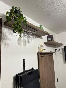 La Cabine Noire - Foppolo