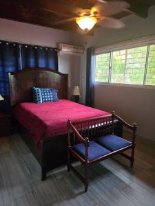 oasis with pool near Panama Canal