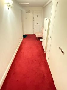 Comfortable Studio Apartment near Paddington Station with Excellent Transport Links