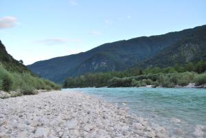 Apartment House Cviter