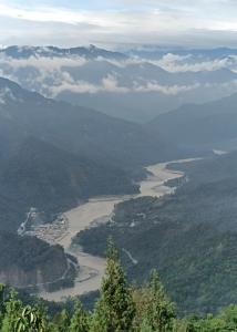 The Silver Tip - A Tea Boutique Farmstay