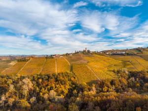 Villa Alma Wine & Soul Wonderful view