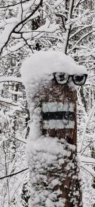 Biała Perła Residence Czarna Góra