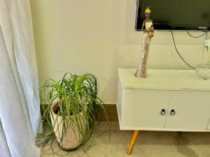 Casa Flor Centro - 3 Suítes - GaragemWi-FI