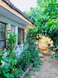 Casa cerca de Ovalle o Punitaqui con árboles y patio