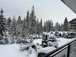 Apartman Tatranská Štrba