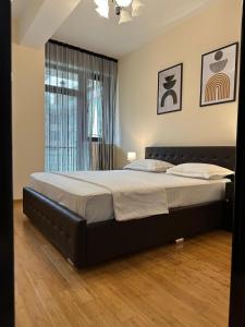 Studio Copou Parhon IRO Spital