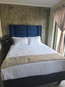 Bachelor in Hatfield