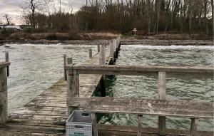 Stunning Home In Frørup With Private Swimming Pool, Can Be Inside Or Outside