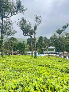 Bethel Homestay