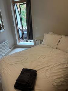 Central toattractions