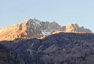 VHĀUS Apartment and Spa