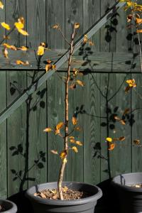 Pelíšky - Cozy Mountain Den with Large Bathroom