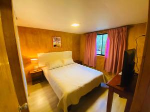 Cabaña entre arboles