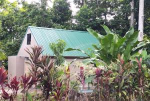 Kono Rainbow Finca paraíso