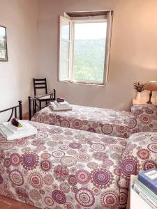 Sogno - Villa Cenami - big POOL with view