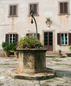 Alba - Villa Cenami - big POOL with view