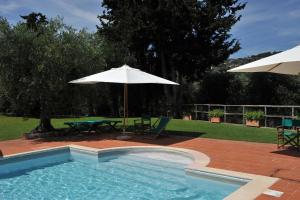 Alba - Villa Cenami - big POOL with view