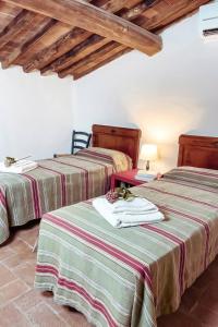 Nuvola - Villa Cenami - big POOL with view