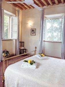 Luna - Villa Cenami - big POOL with view