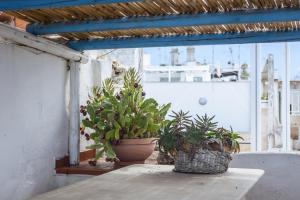 Nel Blu Dipinto di Blu - Casa Porto