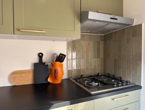 Dreamsea - Nabij het meer, strand, restaurants en Keukenhof