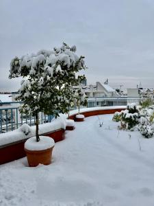 Rooftop City Residence with Underground Parking