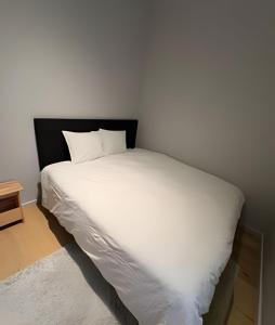 Quiet apartment near European district