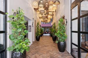 Anise Aluma Athens, Tapestry Collection by Hilton