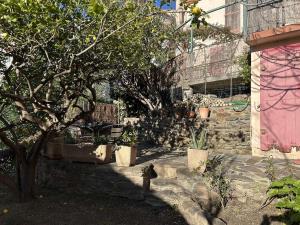 Studio 2 couchages BANYULS SUR MER BN660-001