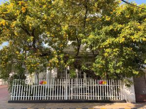 Daffodils Spice Court