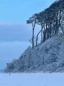 Ferienwohnungostseeblick
