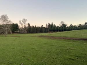 BUHO Cabin Cypress BBQ Smart TV Wood Hot Tub