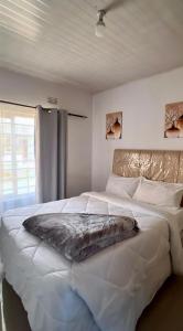 The Homelink Apartments