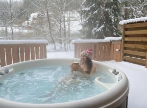 LE GRIZZLY Chalet en bois avec SPA Jacuzzi