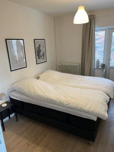 Hyggelig lejlighed tæt på centrum og letbanestop