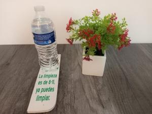 Habitaciones amuebladas Veracruz Logos