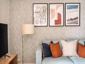 Akicity Entrecampos Elderberry