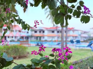 MILANO - BY THE BEACH GoA
