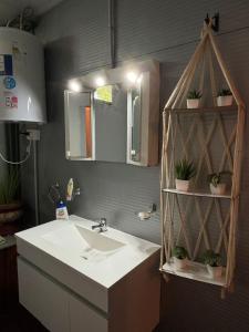 Isla Piraña, Río Parana de las Palmas