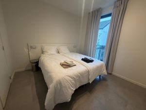 Business Accommodation Mol Centre