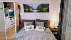 Stella di Sella Nevea