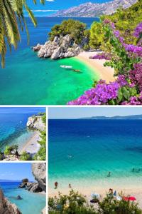 Green Oasis Holiday Home