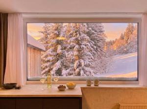 ALPINA 27 SKI IN SKI OUT FREE parking