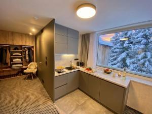 ALPINA 27 SKI IN SKI OUT FREE parking