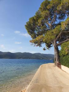 Domeček snů Natalia