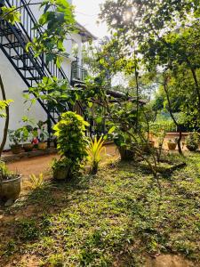 Chamikara Homestay