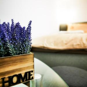 Király Apartment Unit 4